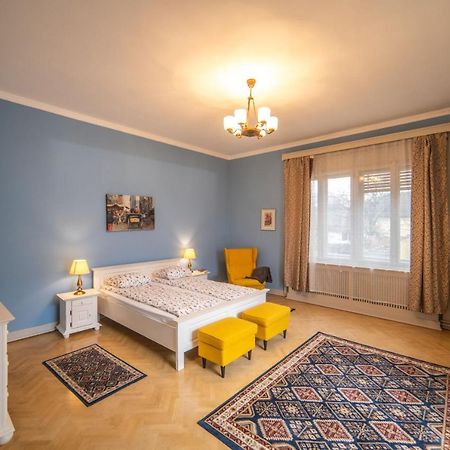 City House Тімішоара Екстер'єр фото