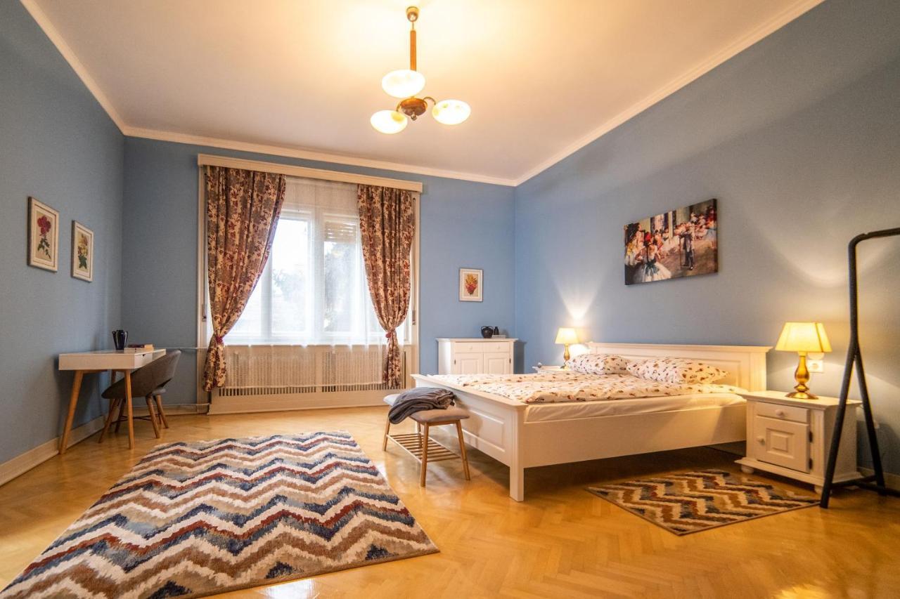 City House Тімішоара Екстер'єр фото