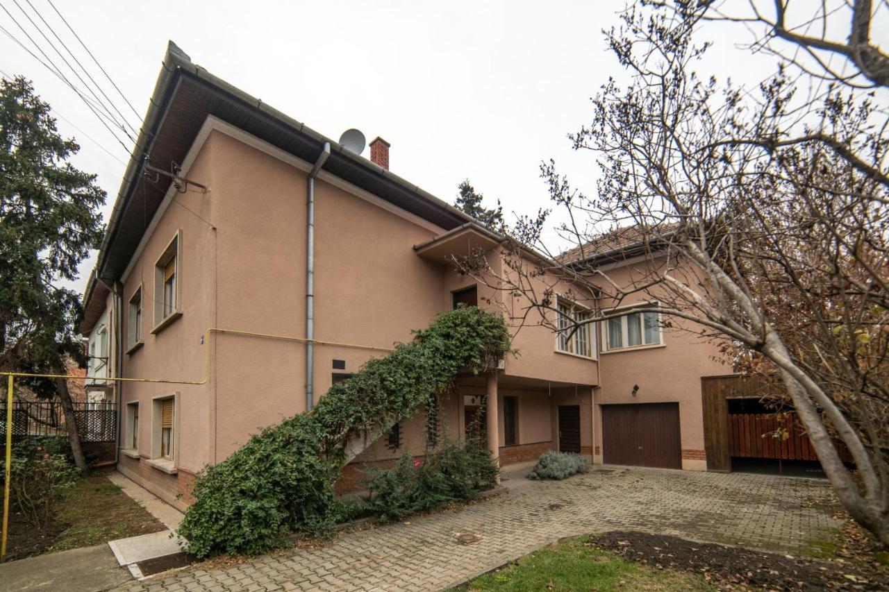 City House Тімішоара Екстер'єр фото
