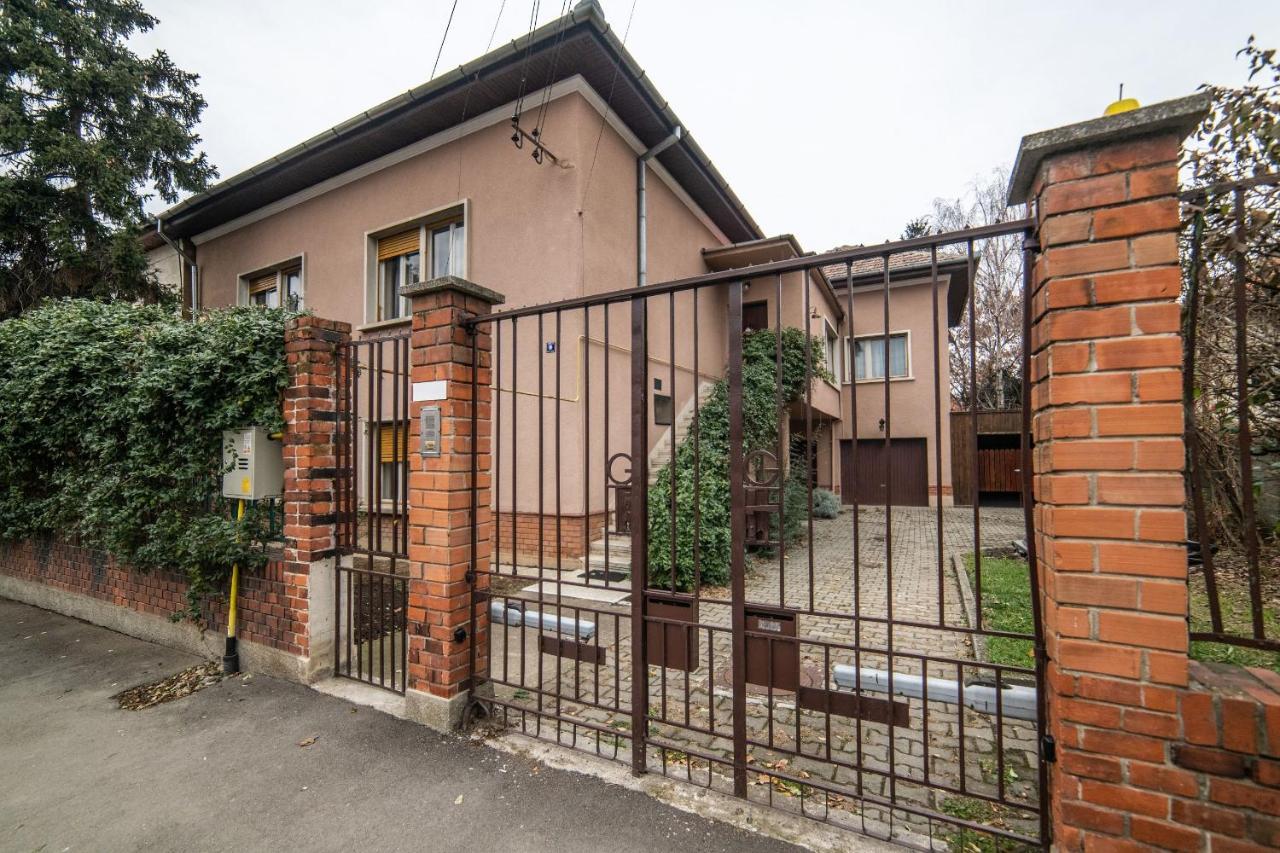 City House Тімішоара Екстер'єр фото